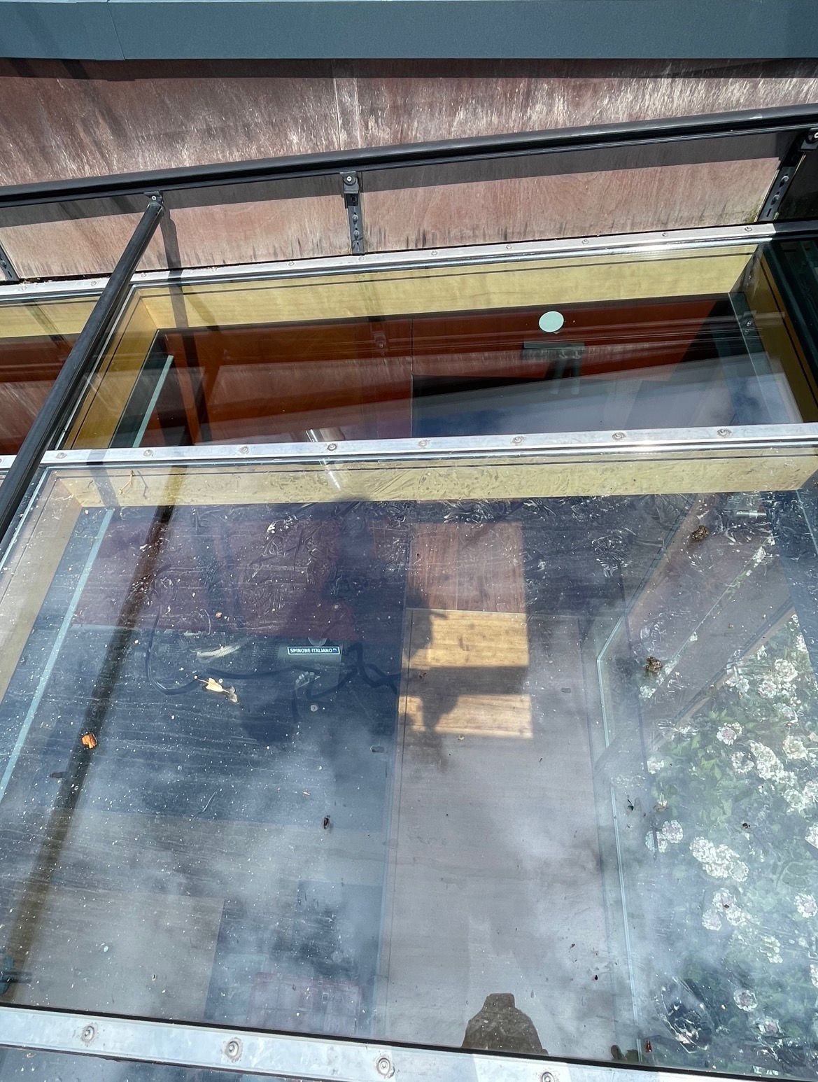Glasdach gereinigt